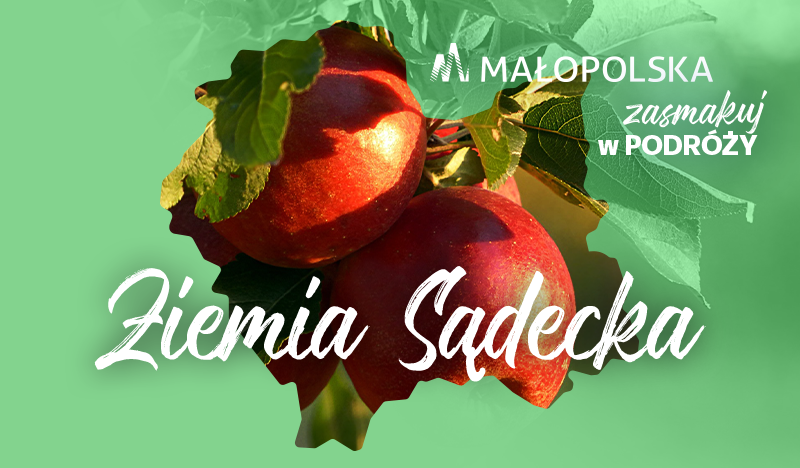 Zielona plansza z logo Małopolski i napisami "Zasmakuj w podróży" i "Ziemia Sądecka", w obrysie kształtu Małopolski zdjęcie czerwonych jabłek