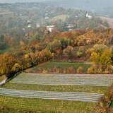 Bild: Weingut św. Jana, Smardzowice