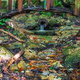 Woda wypływająca z drewnianego pnia, wokół liście i mostek.