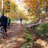 Obrazek: Górskie ścieżki rowerowe Babia Góra Trails